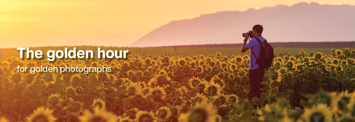 Sizzling Summer Deals  ... Click & Collect |  Delivery